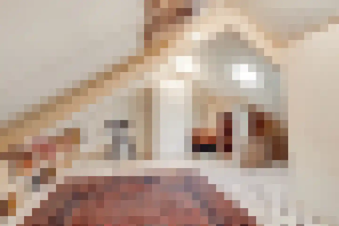 Jachthoornlaan 24 Bilthoven thumbnail 22