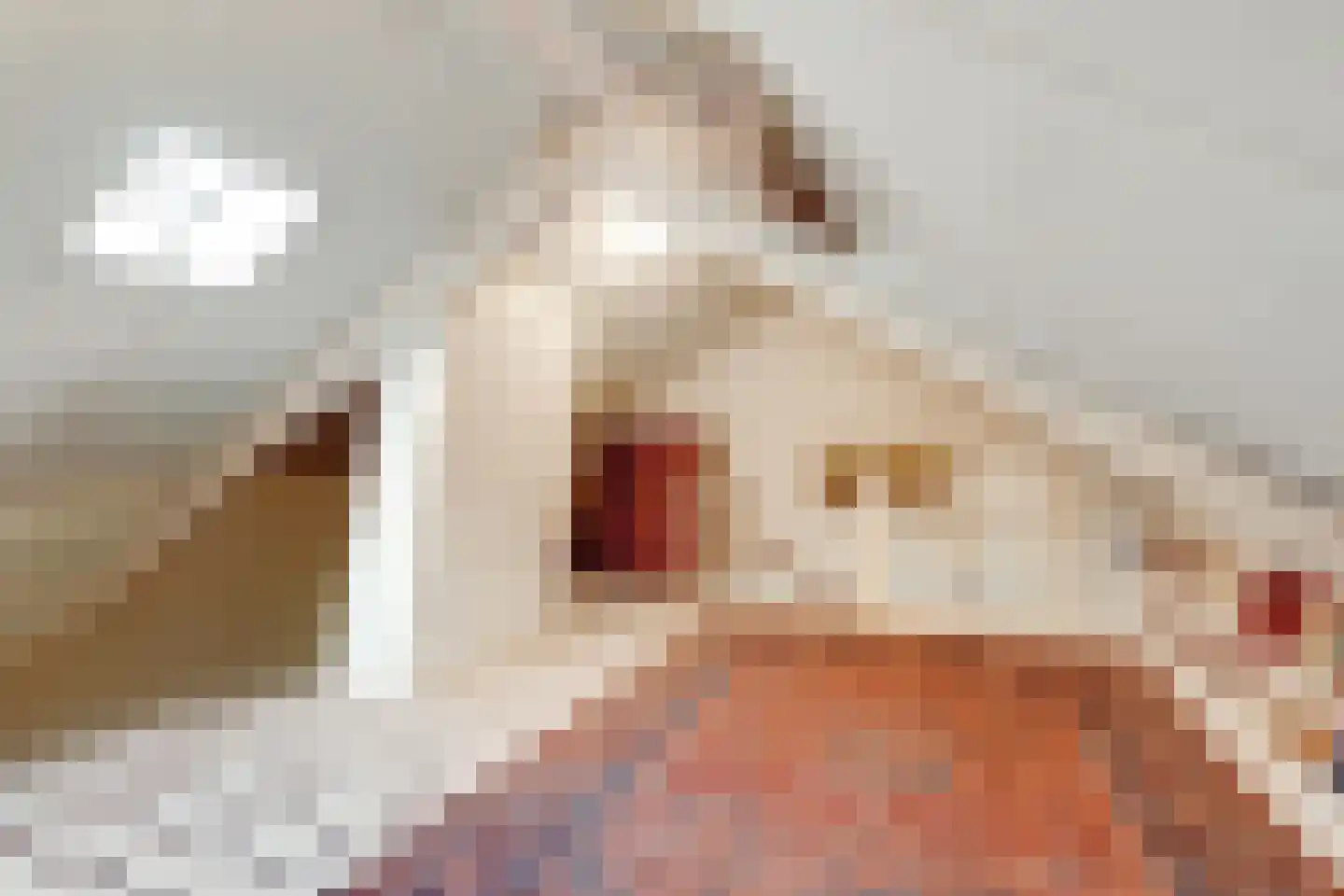 Jachthoornlaan 24 Bilthoven thumbnail 23