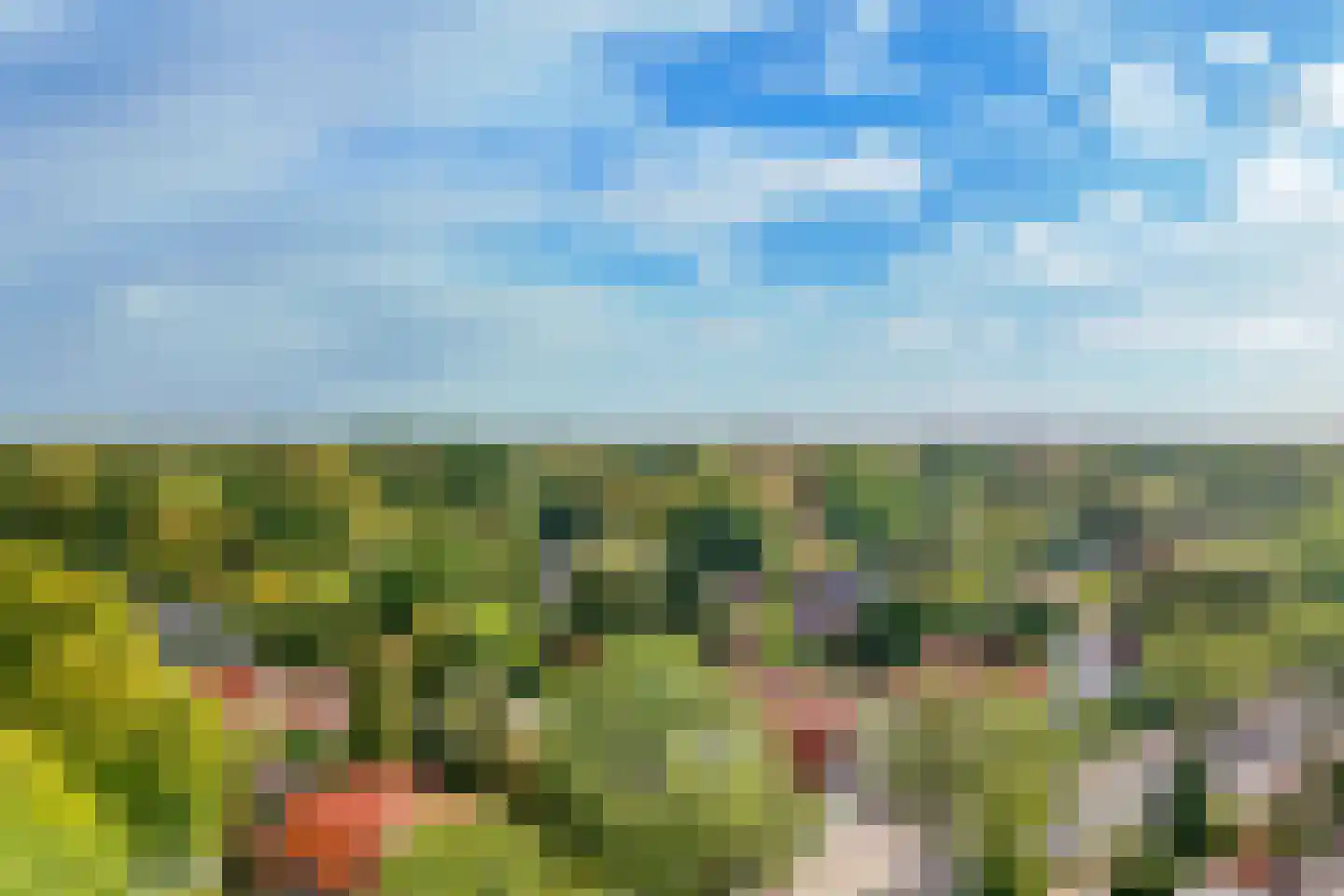 Jachthoornlaan 24 Bilthoven thumbnail 32