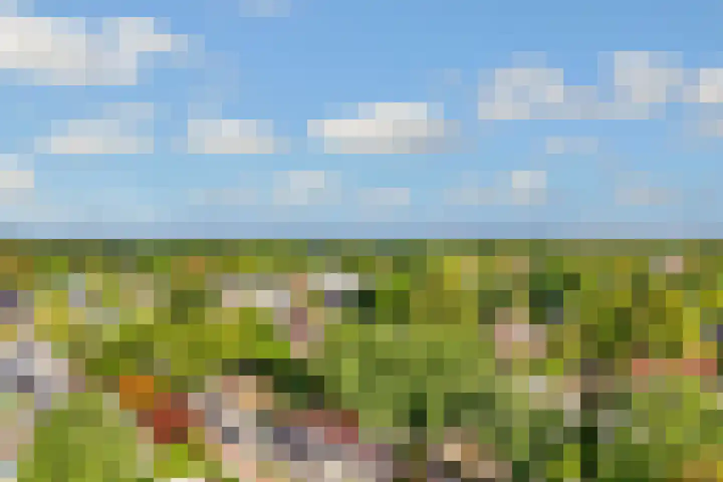 Jachthoornlaan 24 Bilthoven thumbnail 33