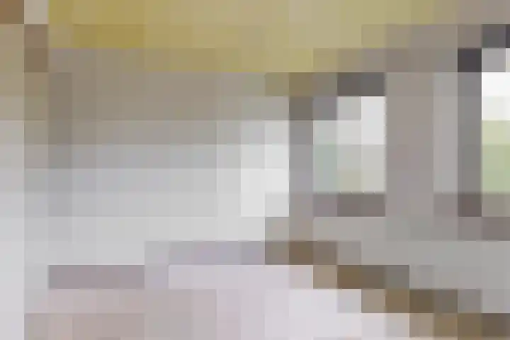 Jachthoornlaan 26 Bilthoven thumbnail 17