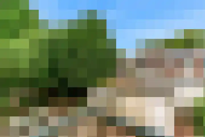 Jachthoornlaan 26 Bilthoven thumbnail 22