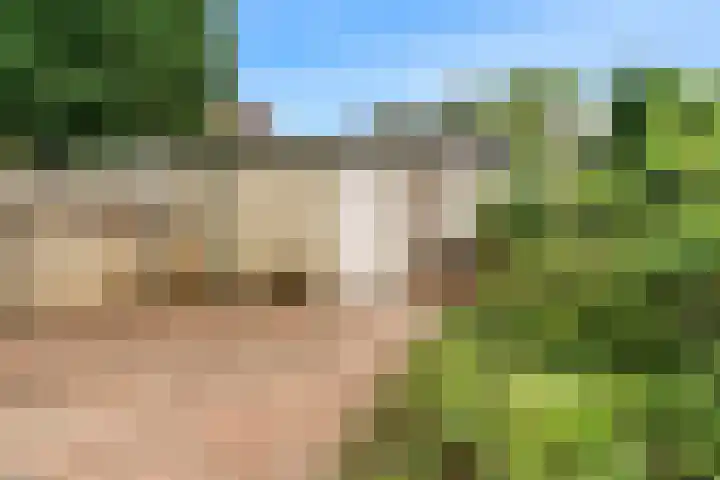 Jachthoornlaan 26 Bilthoven thumbnail 23