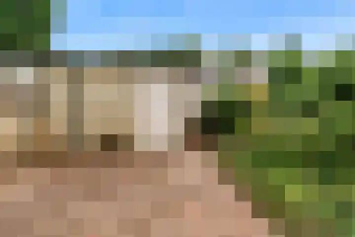 Jachthoornlaan 26 Bilthoven thumbnail 24