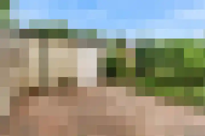 Jachthoornlaan 26 Bilthoven thumbnail 25