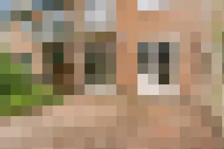 Jachthoornlaan 26 Bilthoven thumbnail 26