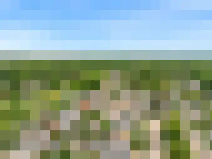 Jachthoornlaan 26 Bilthoven thumbnail 29