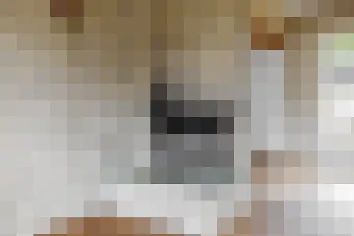 Jachthoornlaan 26 Bilthoven thumbnail 6