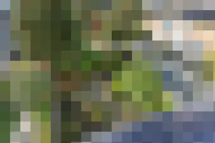 Jachthoornlaan 5 Bilthoven thumbnail 28