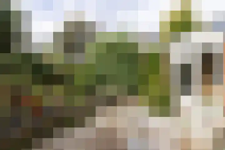 Jachthoornlaan 5 Bilthoven thumbnail 29