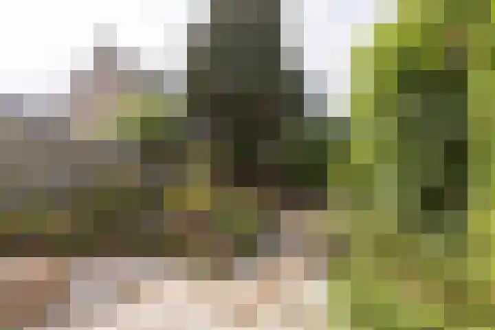 Jachthoornlaan 5 Bilthoven thumbnail 30