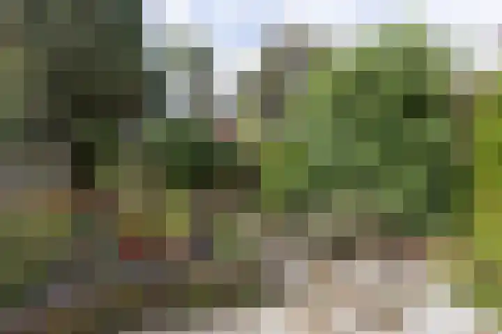 Jachthoornlaan 5 Bilthoven thumbnail 31
