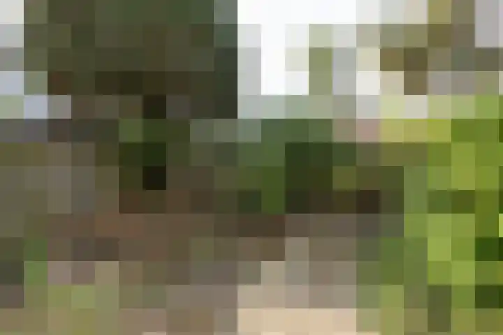 Jachthoornlaan 5 Bilthoven thumbnail 32
