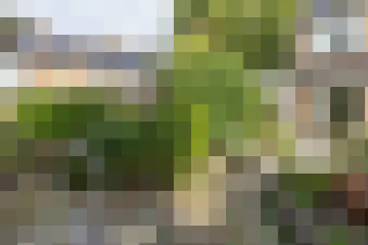 Jachthoornlaan 5 Bilthoven thumbnail 33