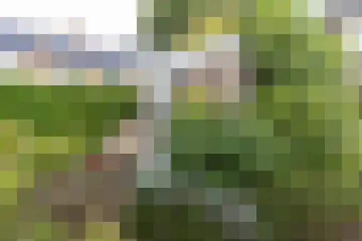 Jachthoornlaan 5 Bilthoven thumbnail 34