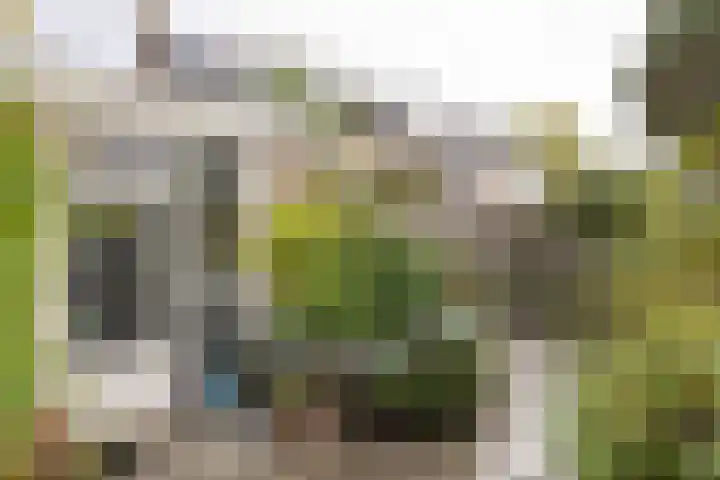 Jachthoornlaan 5 Bilthoven thumbnail 35
