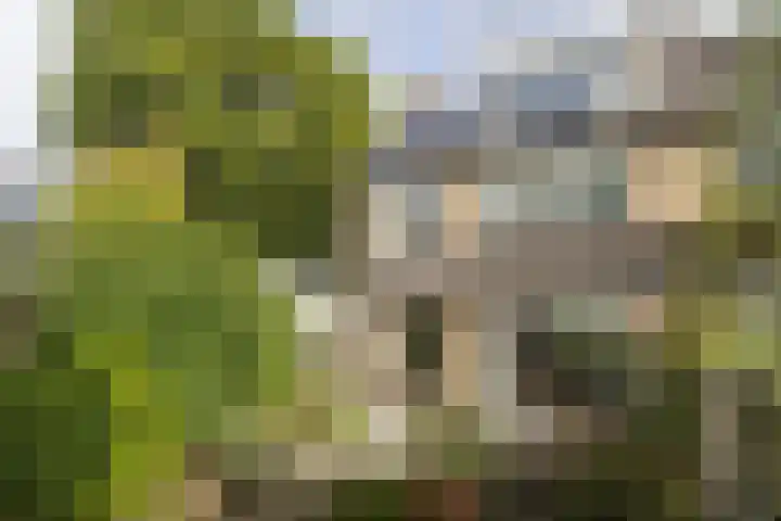 Jachthoornlaan 5 Bilthoven thumbnail 37