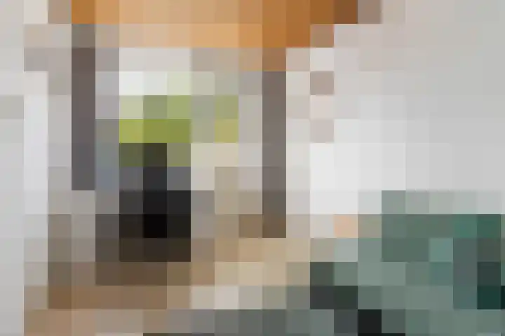 Jachthoornlaan 7 Nieuwegein thumbnail 24