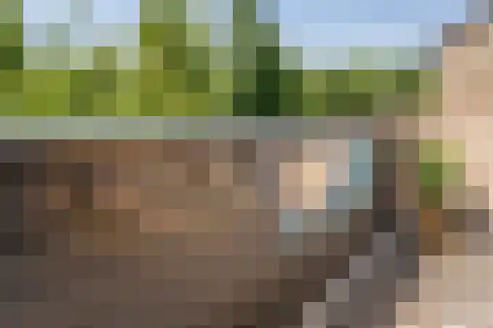 Jachthoornlaan 7 Nieuwegein thumbnail 28