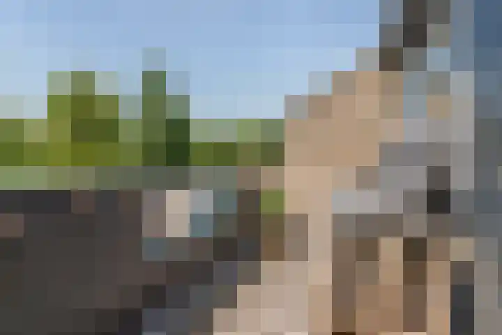 Jachthoornlaan 7 Nieuwegein thumbnail 29