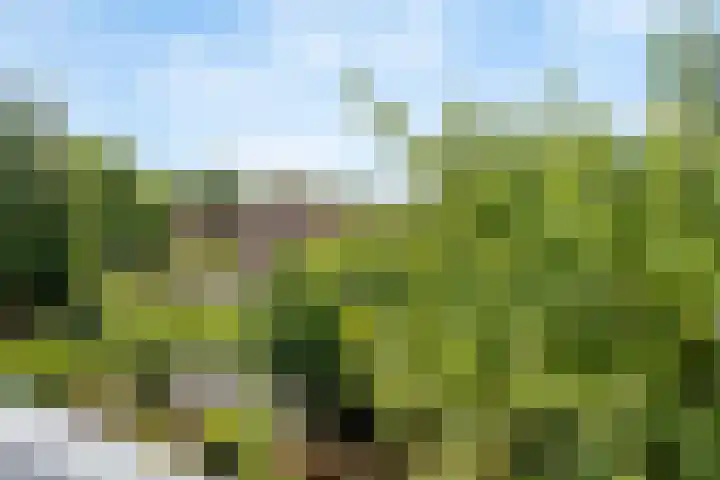 Jachthoornlaan 7 Nieuwegein thumbnail 30