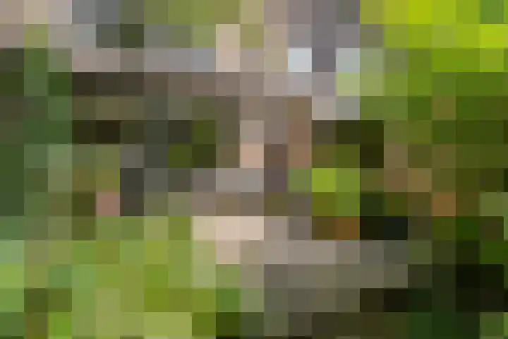 Jachthoornlaan 7 Nieuwegein thumbnail 32