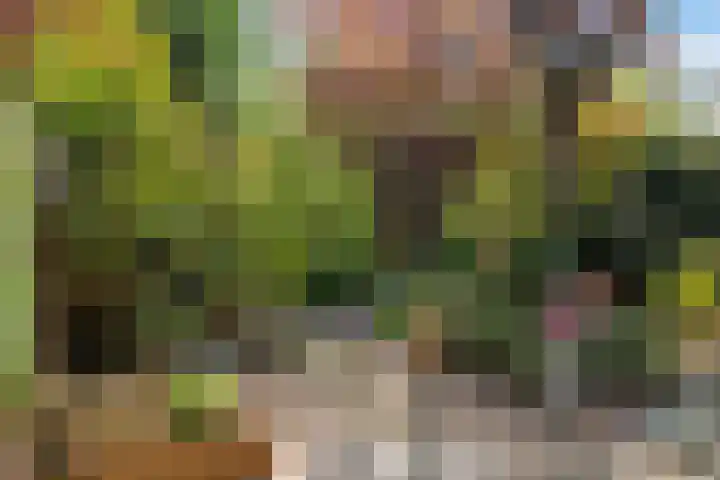 Jachthoornlaan 7 Nieuwegein thumbnail 35