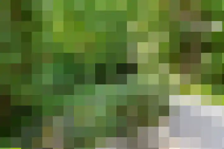 Jachthoornlaan 7 Nieuwegein thumbnail 36