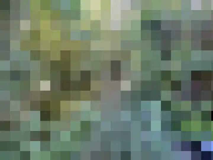 Jachthoornlaan 7 Nieuwegein thumbnail 37