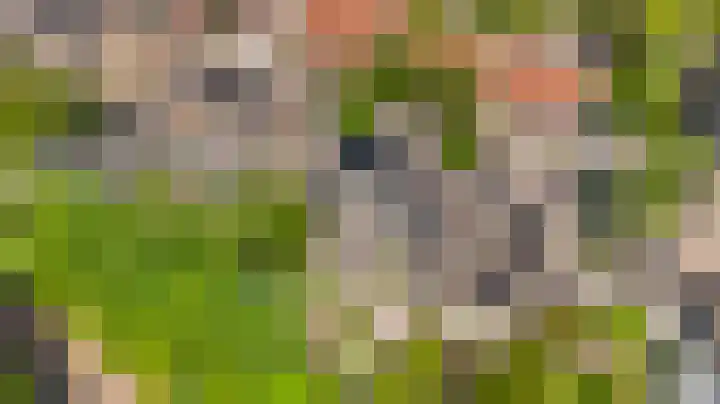 Jachthoornlaan 7 Nieuwegein thumbnail 40
