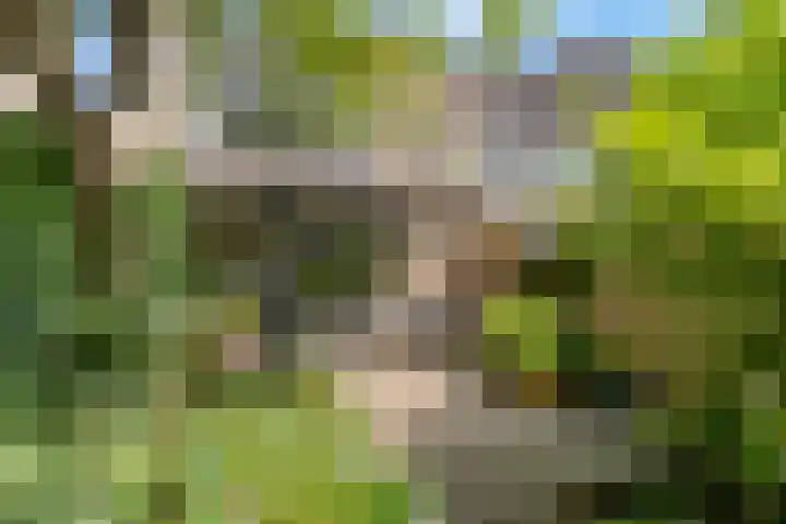 Jachthoornlaan 7 Nieuwegein thumbnail 51