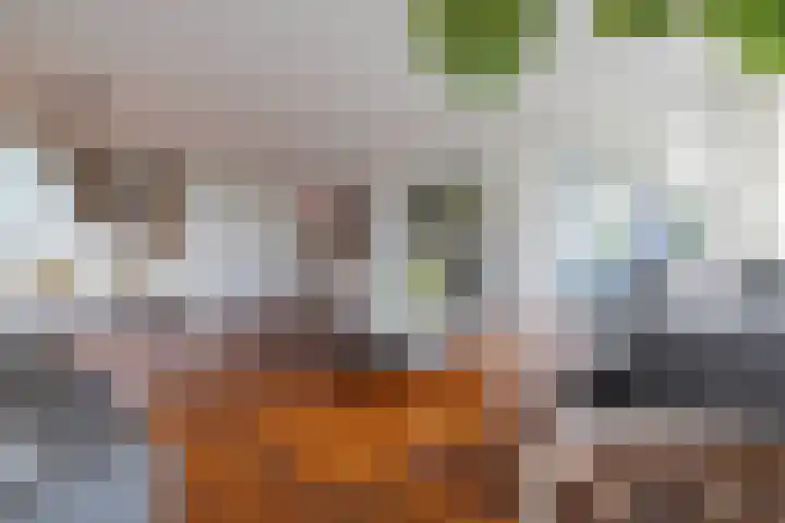 Jachthoornlaan 70 Arnhem thumbnail 15