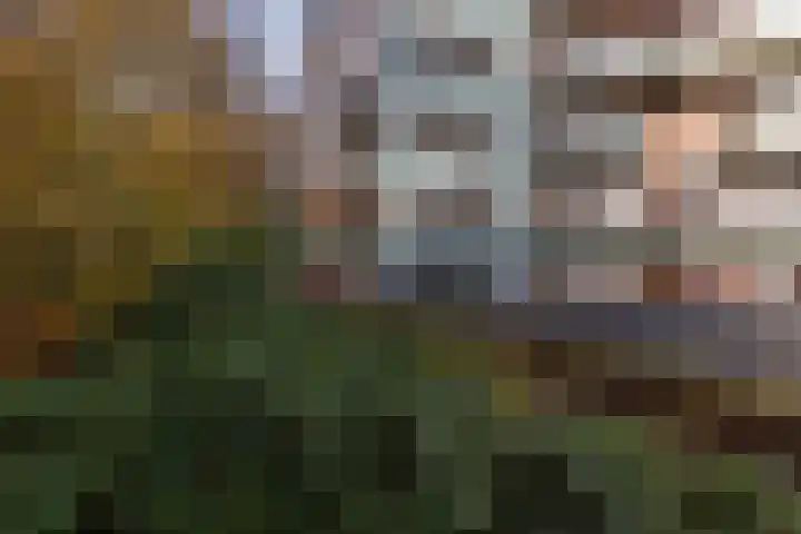 Jachthoornlaan 90 Arnhem thumbnail 8