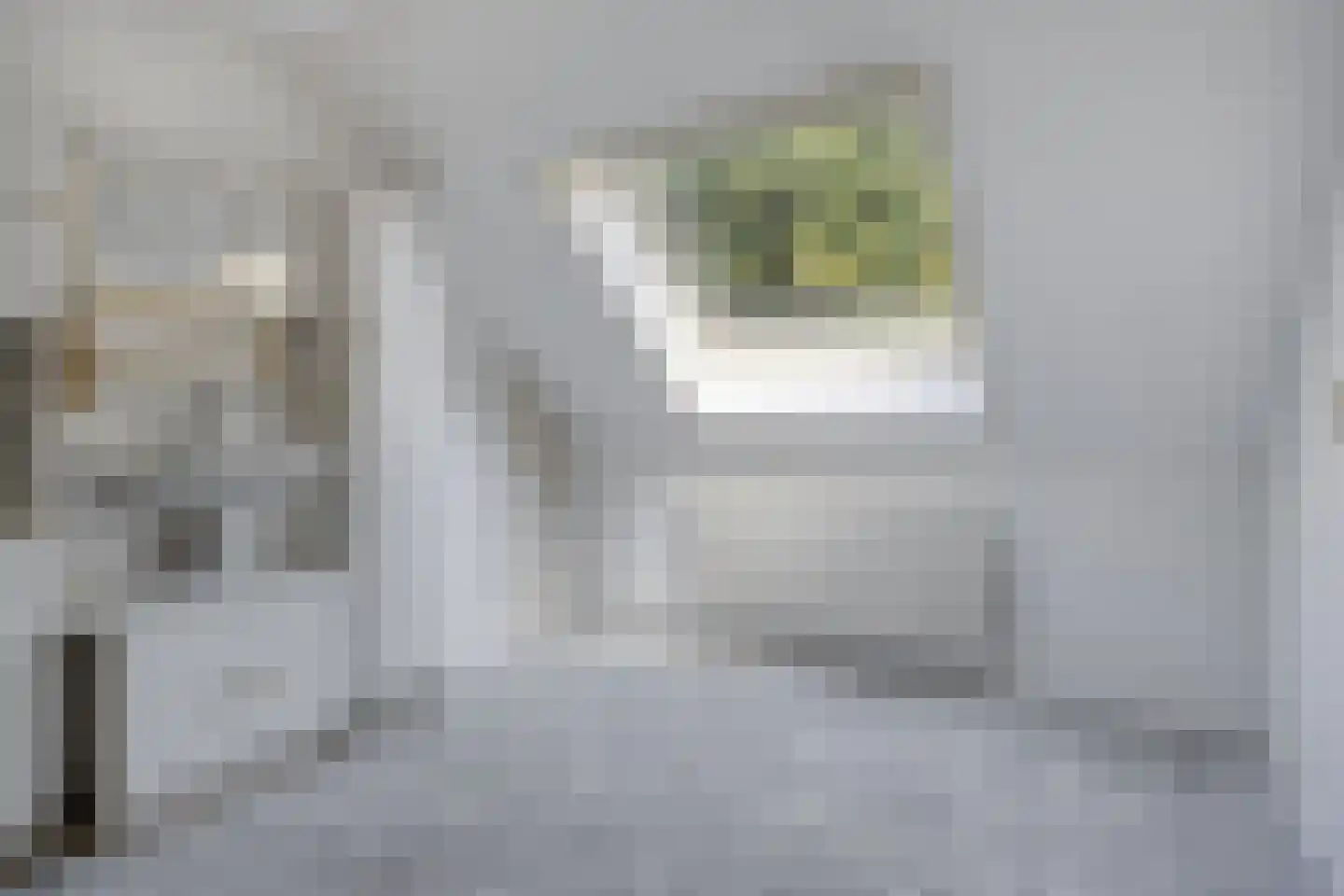Jachthoornpad 10 Nieuwegein thumbnail 12