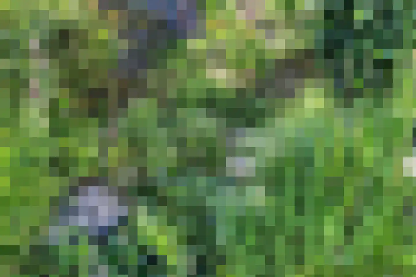 Jachthoornpad 10 Nieuwegein thumbnail 20