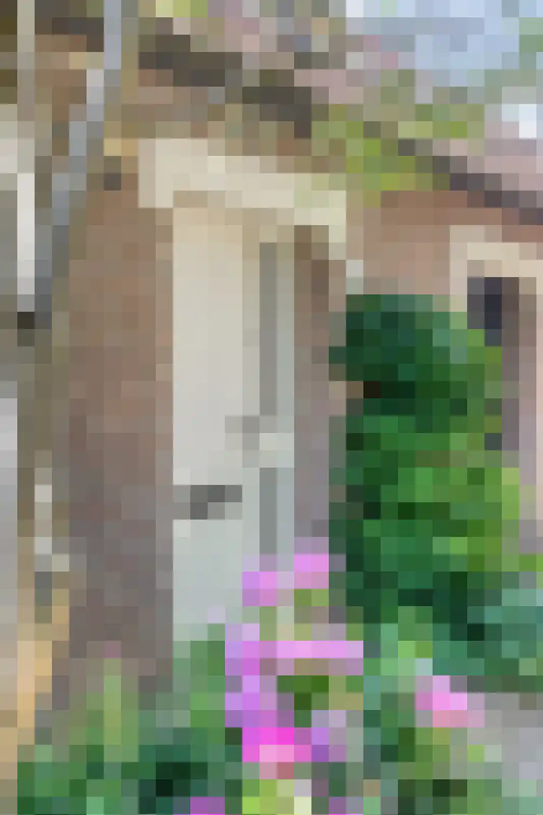 Jachthoornpad 10 Nieuwegein thumbnail 5