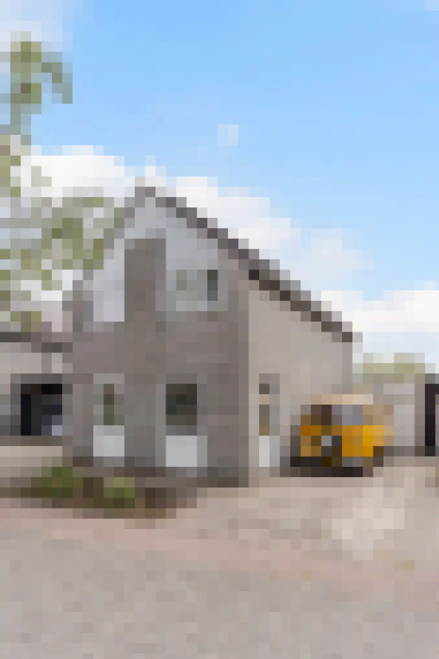 Jachthoornstraat 15 Sint Hubert thumbnail 7