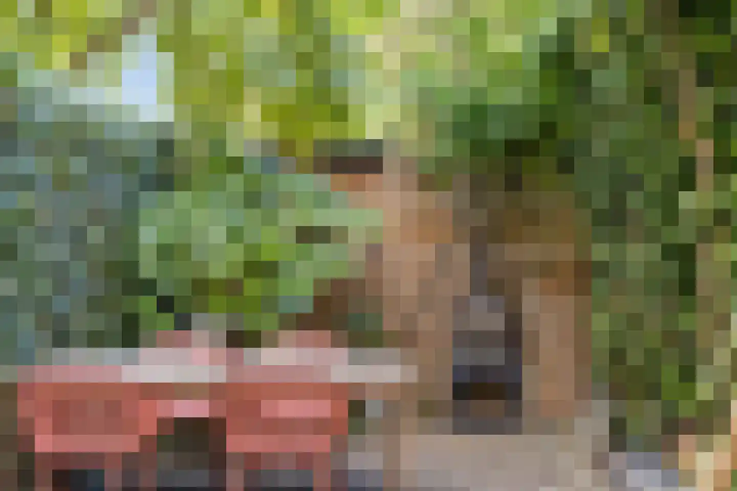 Jachthoornstraat 3 Maastricht thumbnail 20