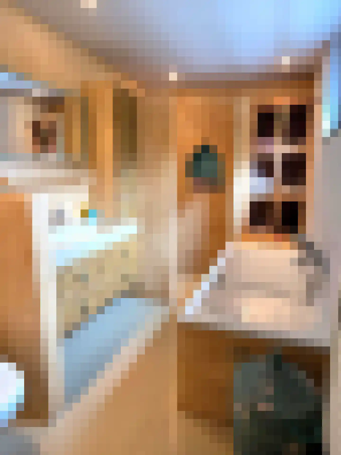 Jachthoornstraat 3 Maastricht thumbnail 27