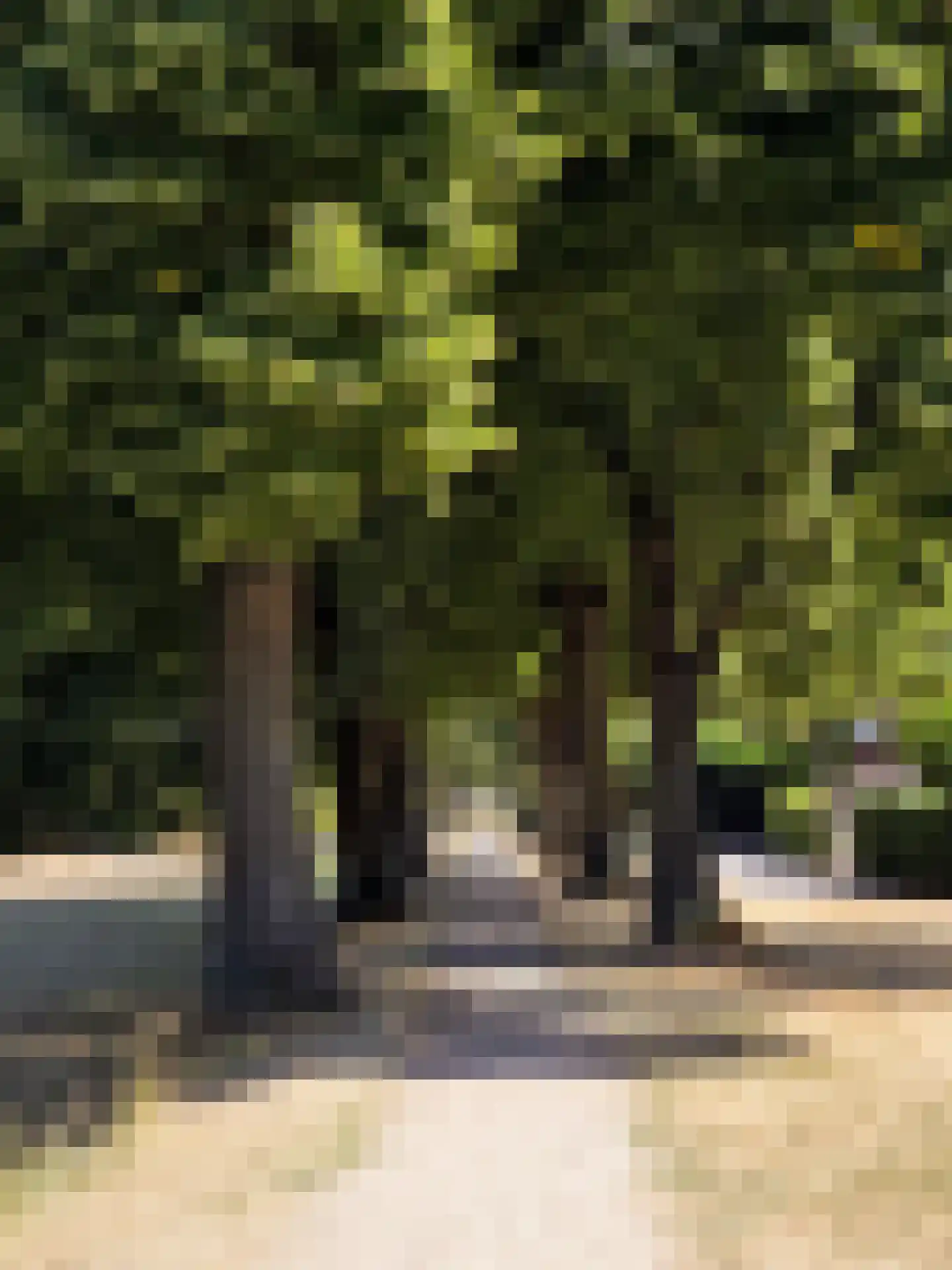 Jachthoornstraat 3 Maastricht thumbnail 35