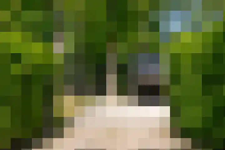 Jachthuislaan 70 Soest thumbnail 16