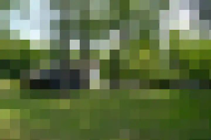 Jachthuislaan 70 Soest thumbnail 18