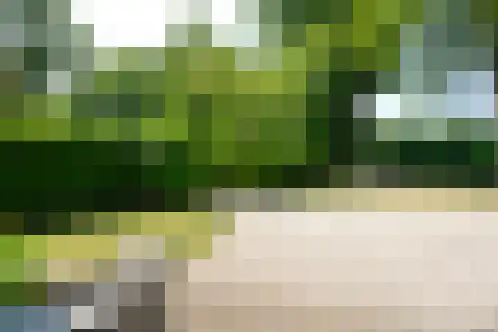 Jachthuislaan 70 Soest thumbnail 20
