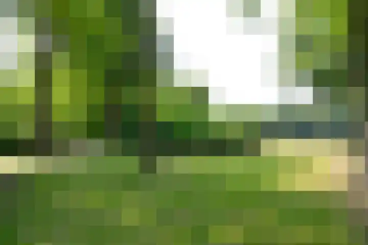 Jachthuislaan 70 Soest thumbnail 21