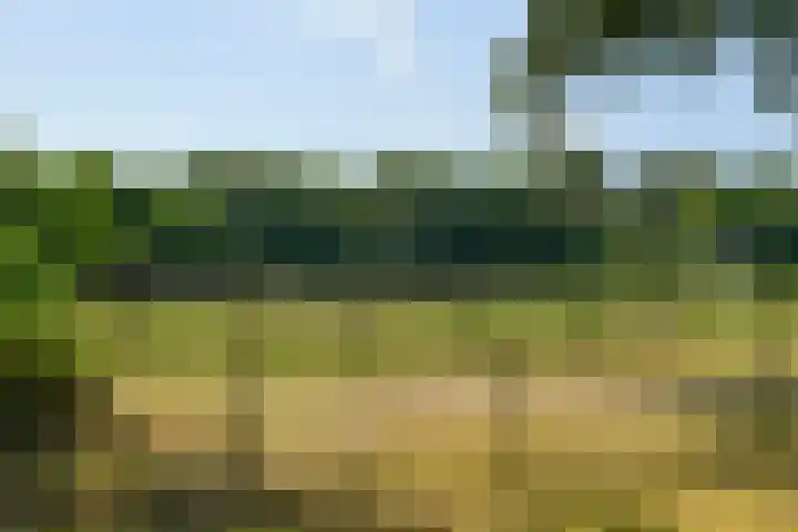 Jachthuislaan 70 Soest thumbnail 25