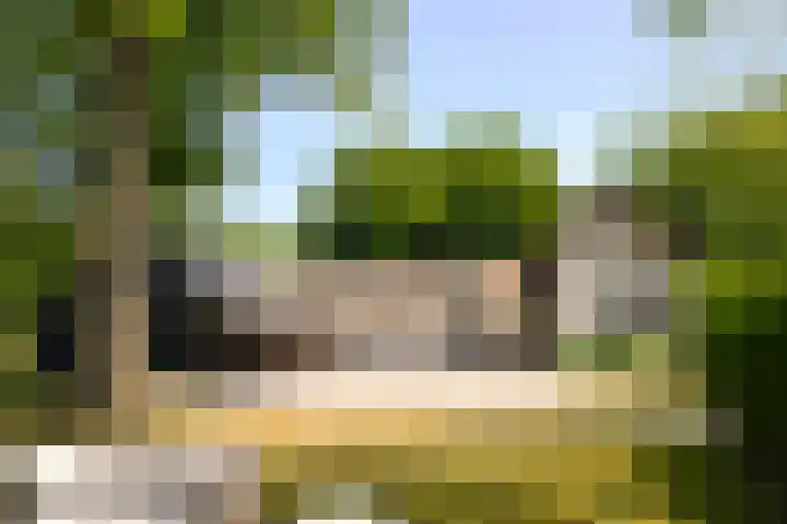 Jachthuislaan 70 Soest thumbnail 34