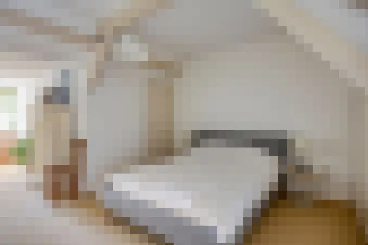 Jachthuisstraat 10 Kloetinge thumbnail 21