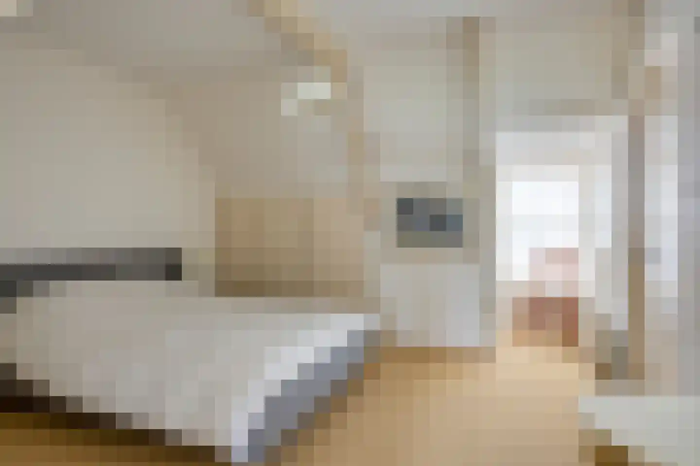 Jachthuisstraat 10 Kloetinge thumbnail 22