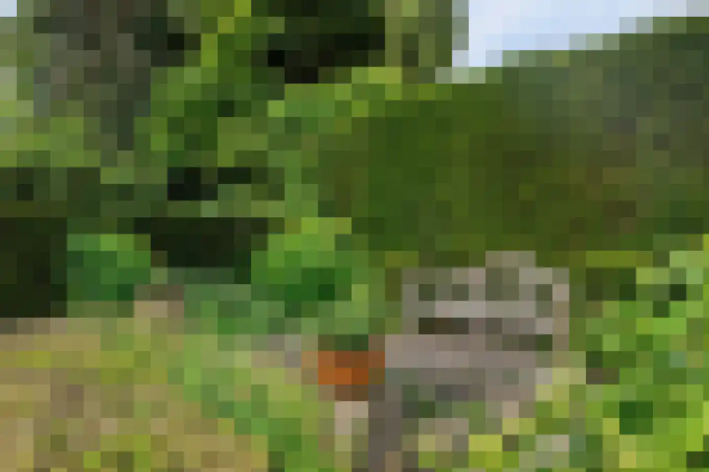 Jachthuisstraat 10 Kloetinge thumbnail 31