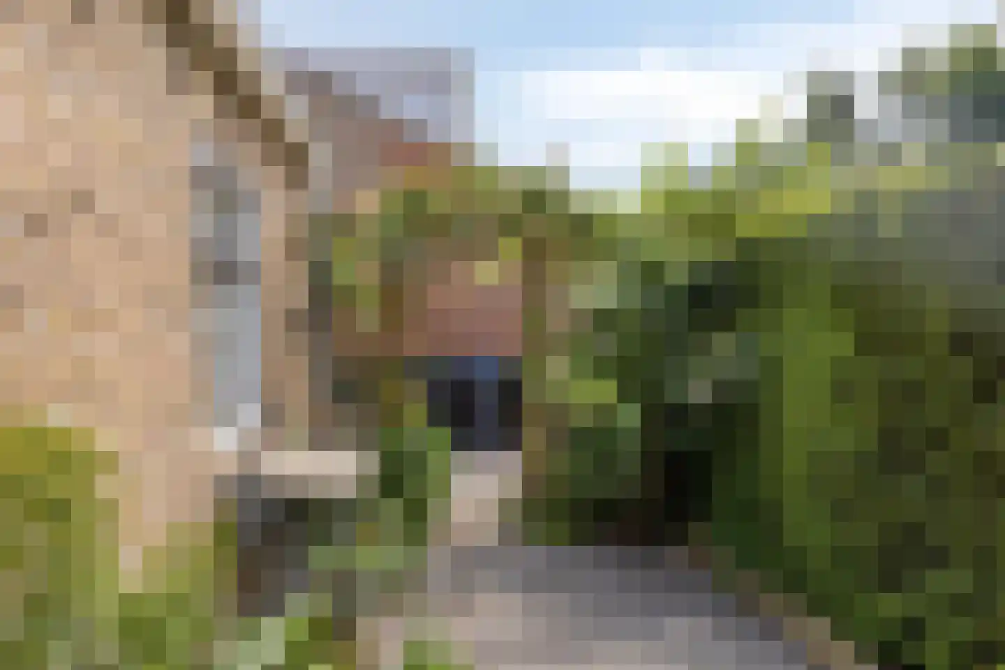 Jachthuisstraat 10 Kloetinge thumbnail 34